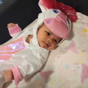 Meet your Posher, Violet